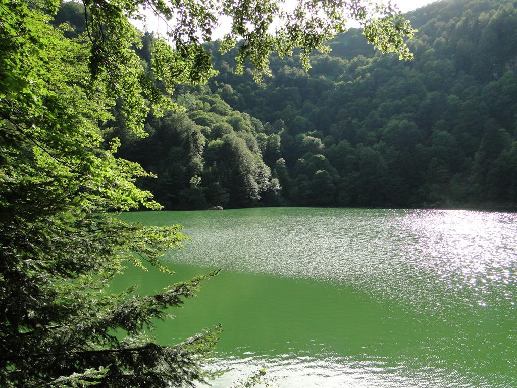 Hotel Logis Le Rouge Gazon Saint-Maurice-sur-Moselle Zewnętrze zdjęcie